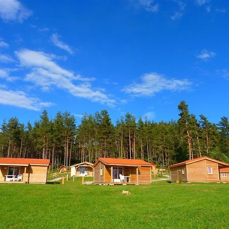Les Chalets Du Haut-Forez Usson-en-Forez Dış mekan fotoğraf