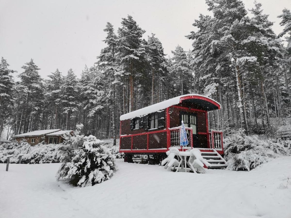 Les Chalets Du Haut-Forez Usson-en-Forez Dış mekan fotoğraf