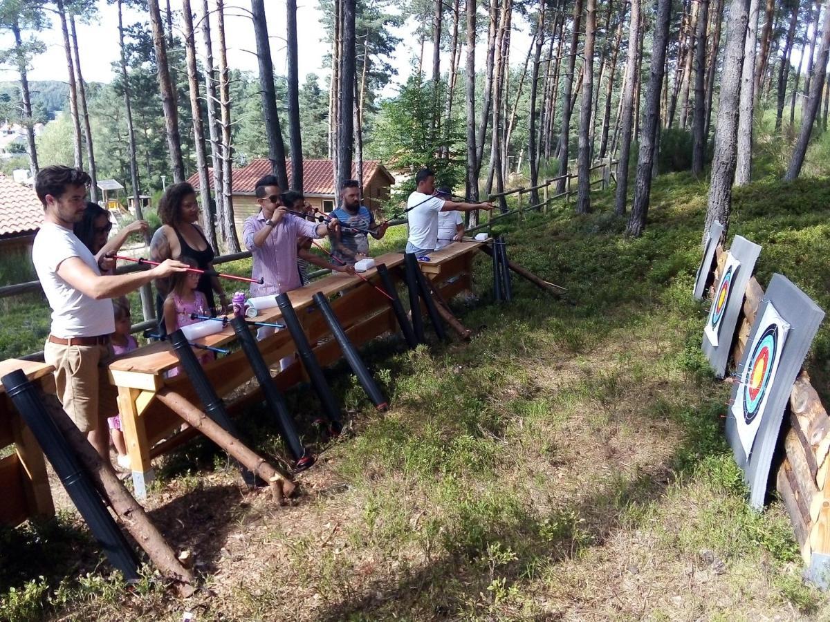 Les Chalets Du Haut-Forez Usson-en-Forez Dış mekan fotoğraf
