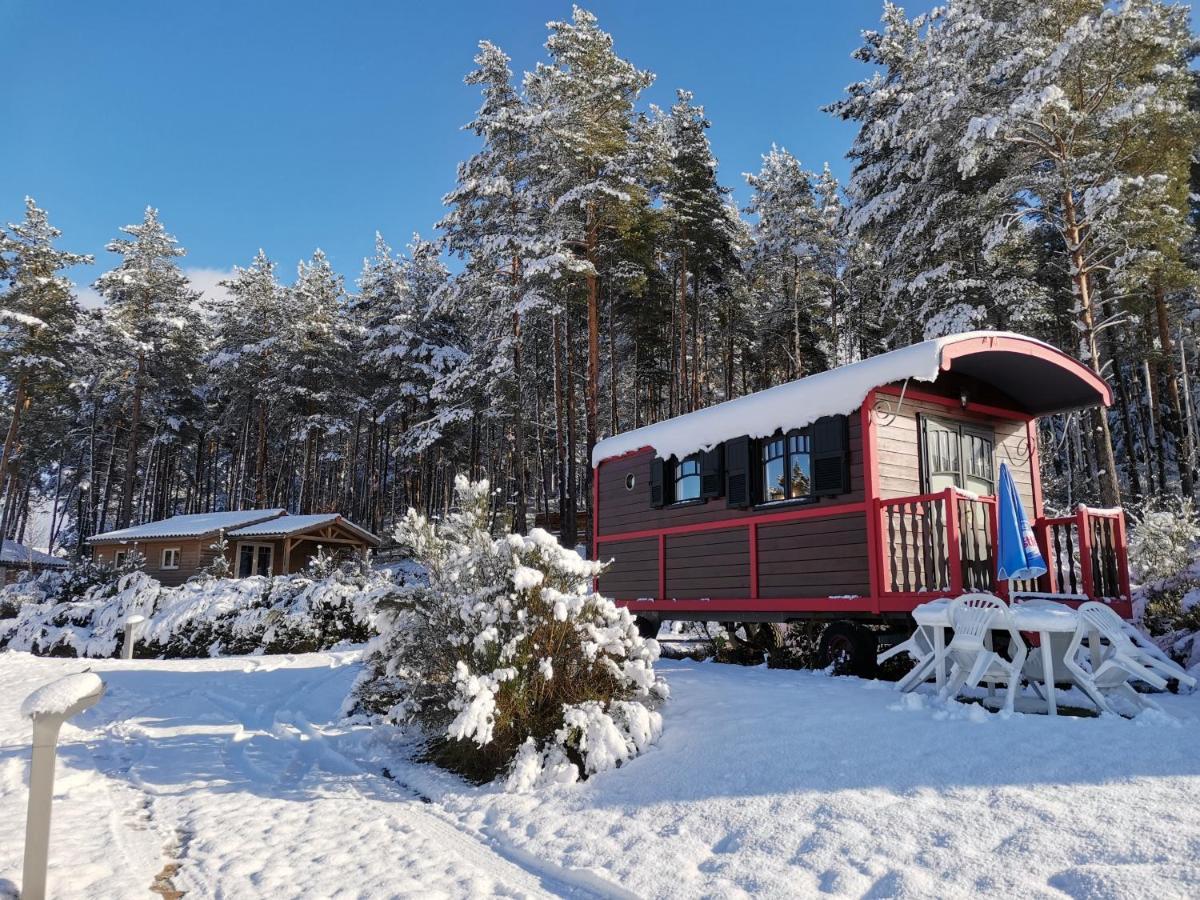 Les Chalets Du Haut-Forez Usson-en-Forez Dış mekan fotoğraf
